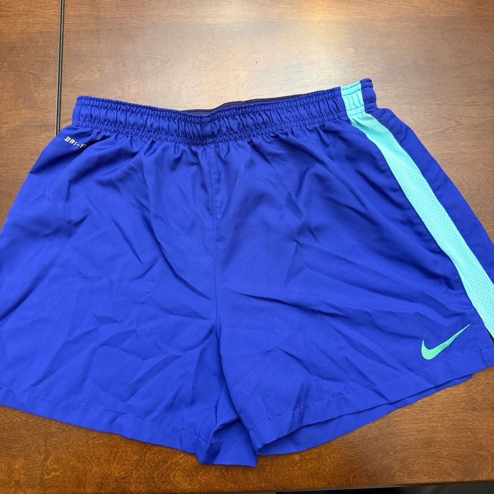 Nike Dri-FIT blueish purple Shorts